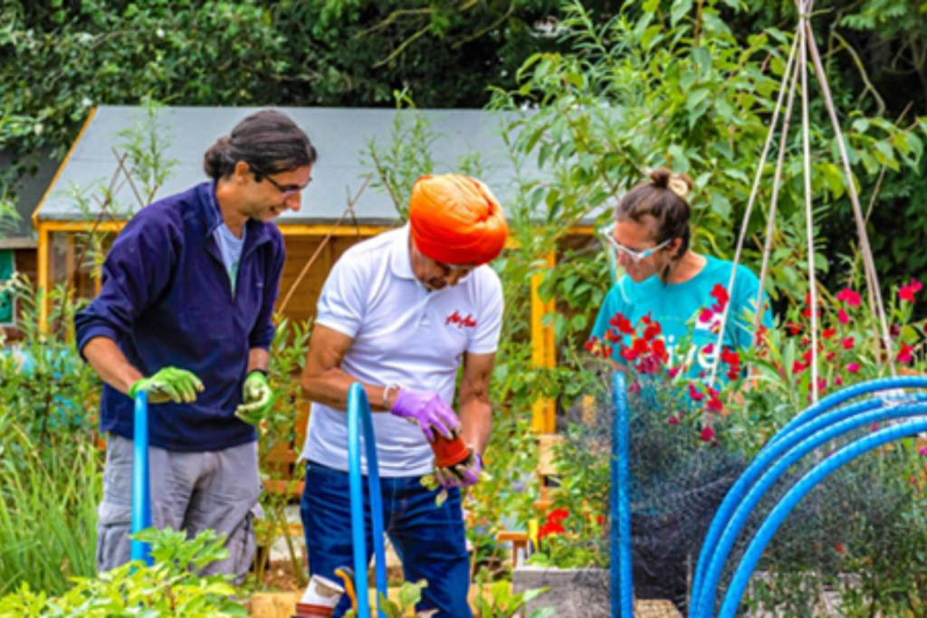 Three people are stood next to each other all looking downawards towards a plant, that the man in the middle is holding. They are stood in a colourful, plant filled allotment area.