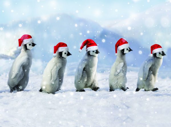 Five marching penguins wearing Santa hats.