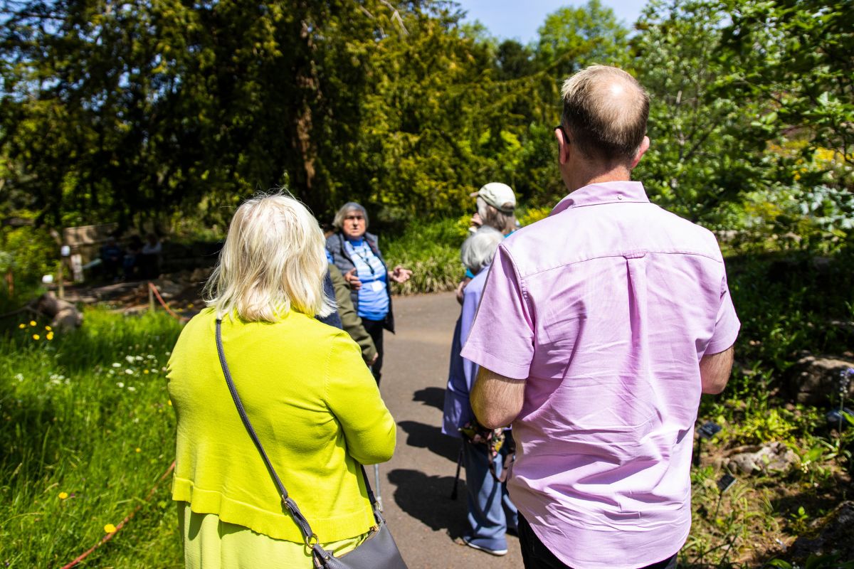 A man and women look ahead, listening to a tour guide in the UOB Botanic Gardens.