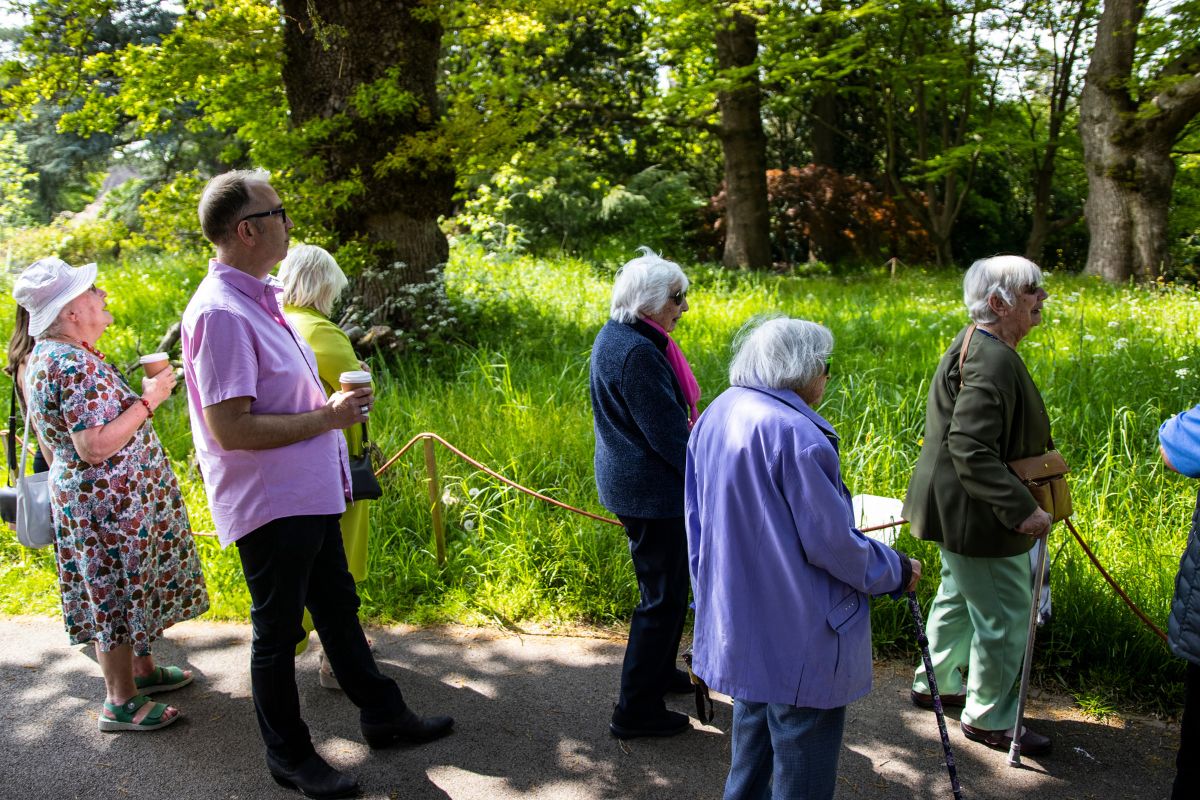 A group of people look ahead while listening to a tour guide in the UOB Botanic Gardens.
