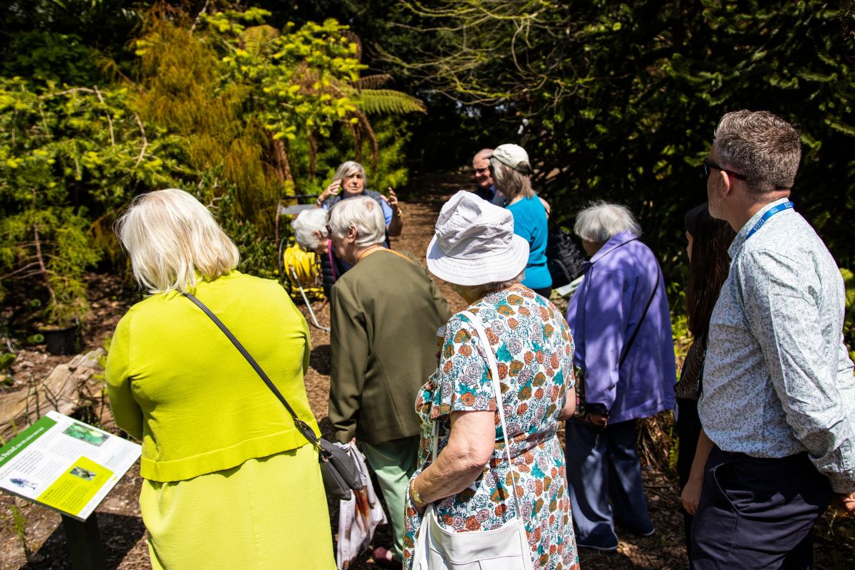 A group of people look ahead while listening to a tour guide in the UOB Botanic Gardens.