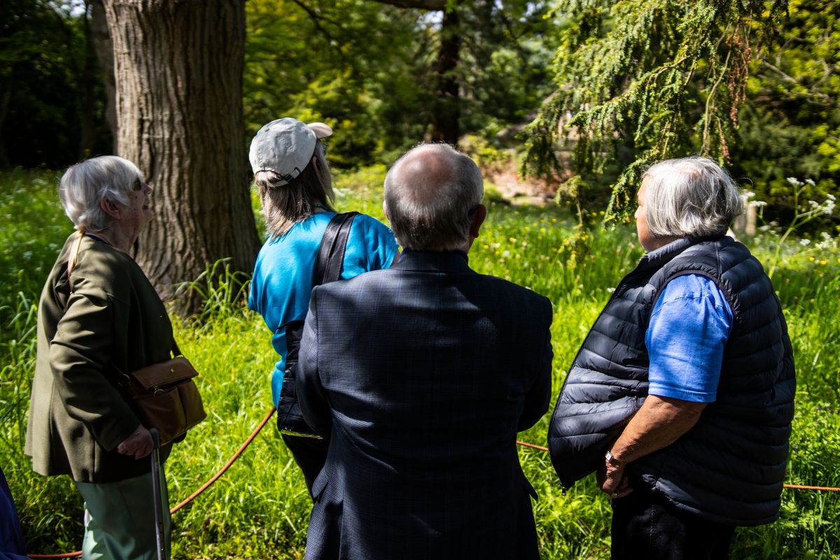 A man and two women look at a tree while listening to a tour guide in the UOB Botanic Gardens.