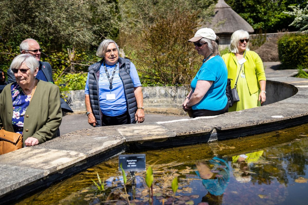 A group of people walk past a pond in the UOB Botanic Gardens.