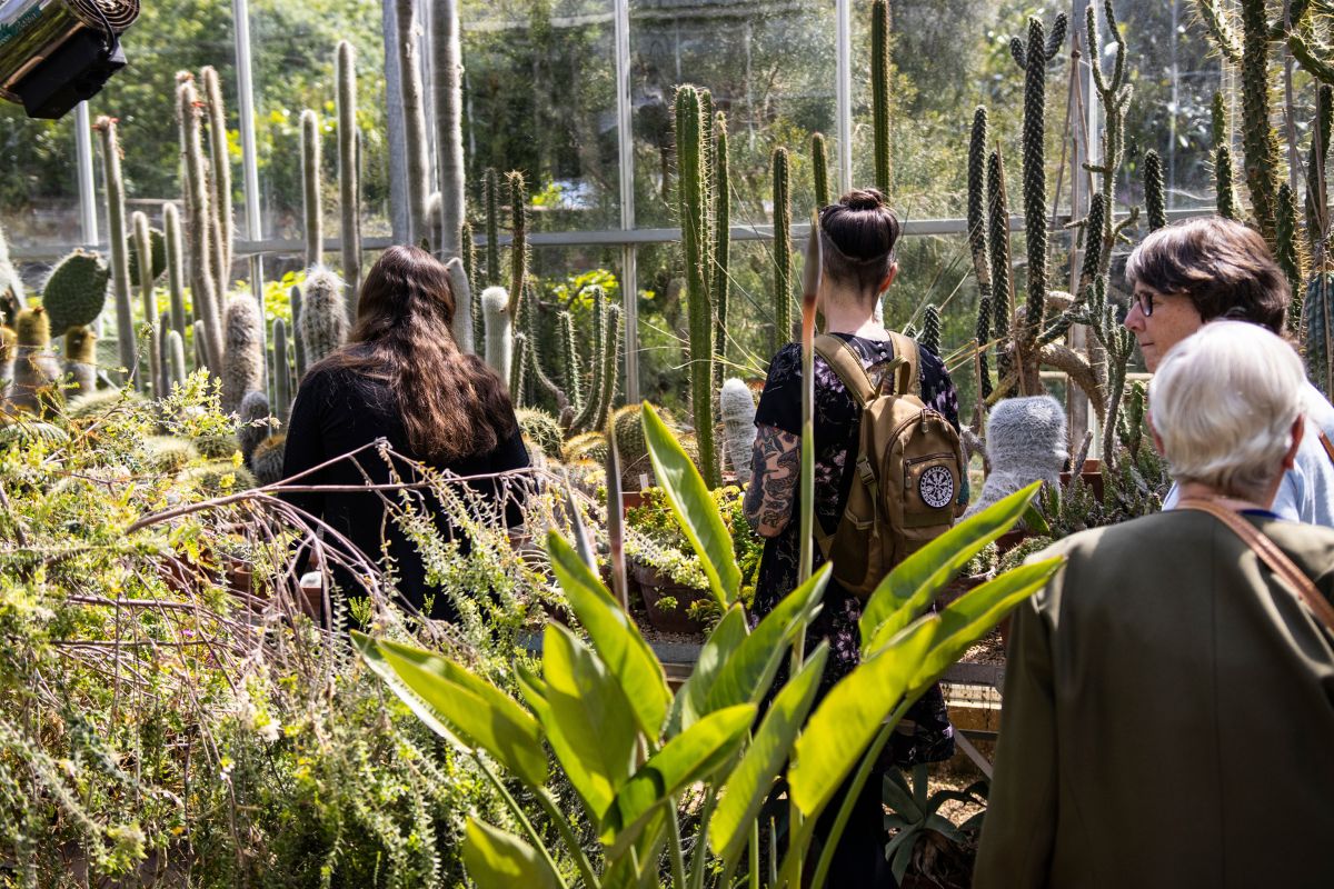 A group of people observe a variety of plants and cacti inside a greenhouse.