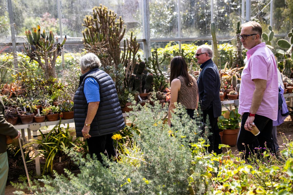 A group of people observe a variety of plants and cacti inside a greenhouse.