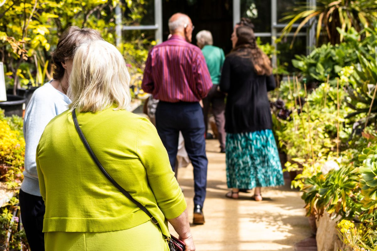 Groups of people converse between each other as they walk through a greenhouse.