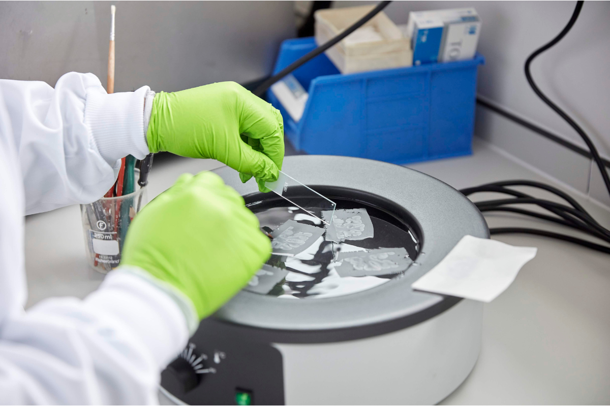 A researcher in green gloves holds slides in the South West Dementia Brain Bank.