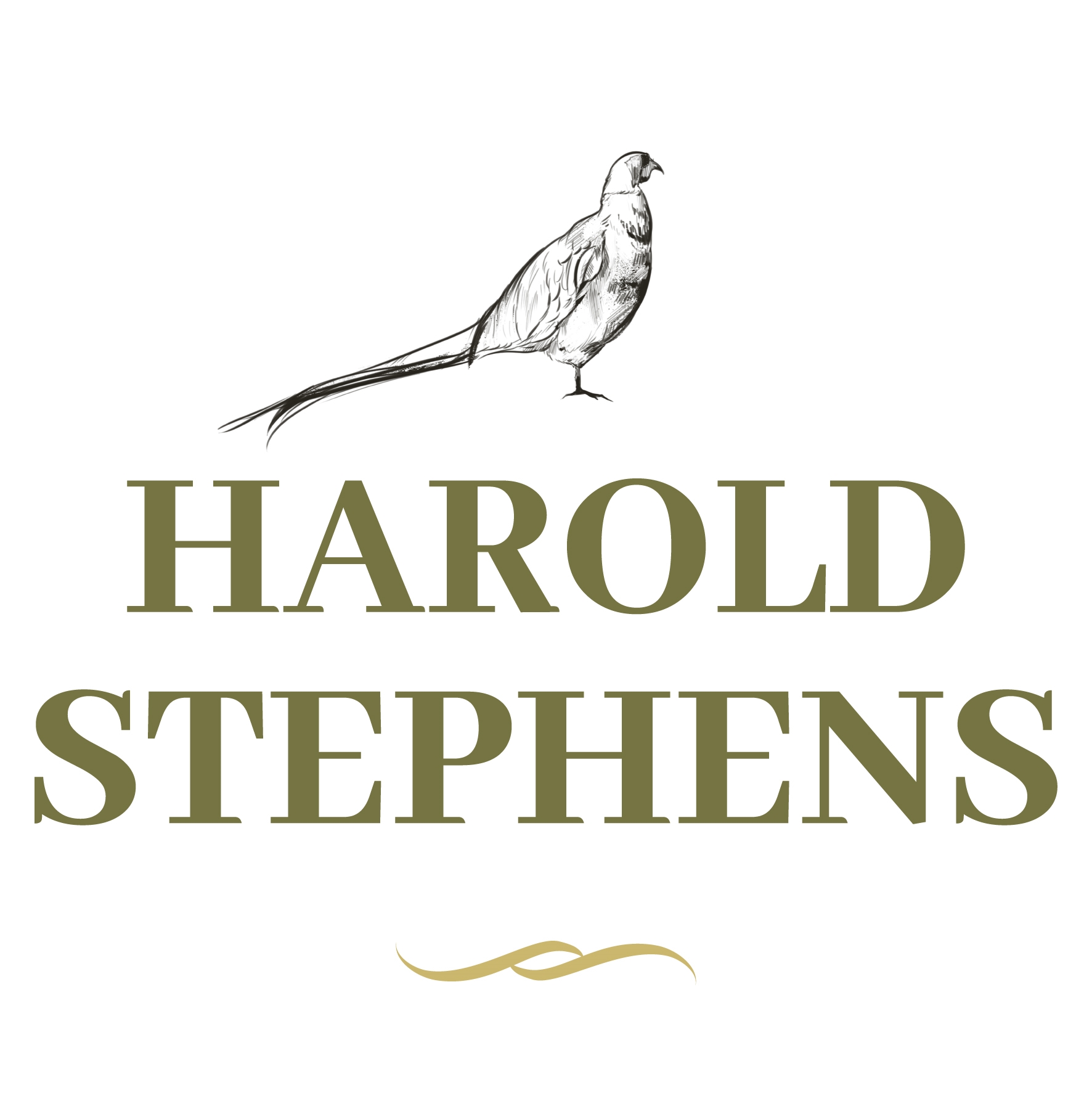 harold-stephens-logo-design-bristol-uk