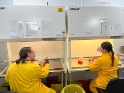 Dr Jeff Davies Lab 2 Dr Karl-Austin Muttitt working alongside
Bethan David in the tissue culture laboratory.