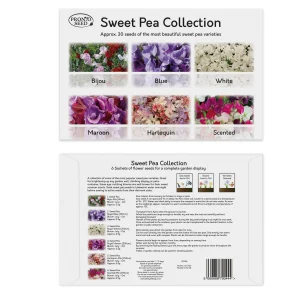 Seeds: Sweet Pea Collection