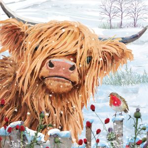 Highland Cow and Robin