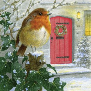 Robin's Perch