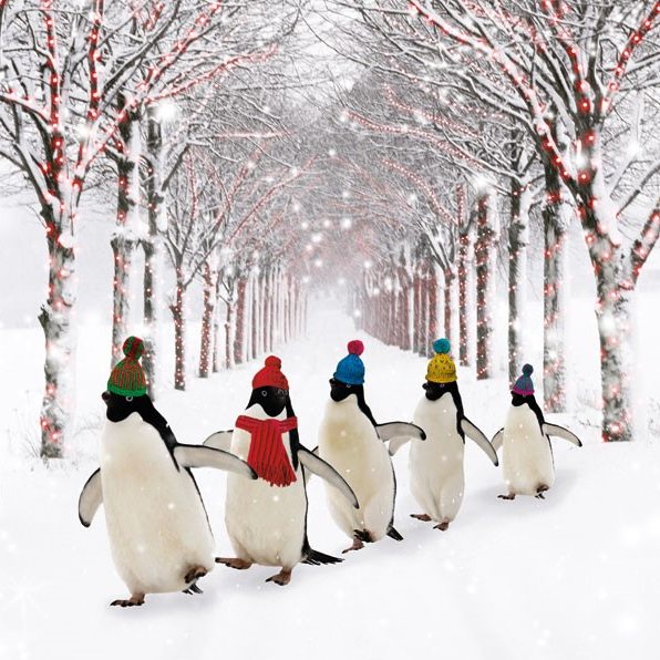 Fiv epenguins wearing wolly hats walking in a line in a snowy woodsland.