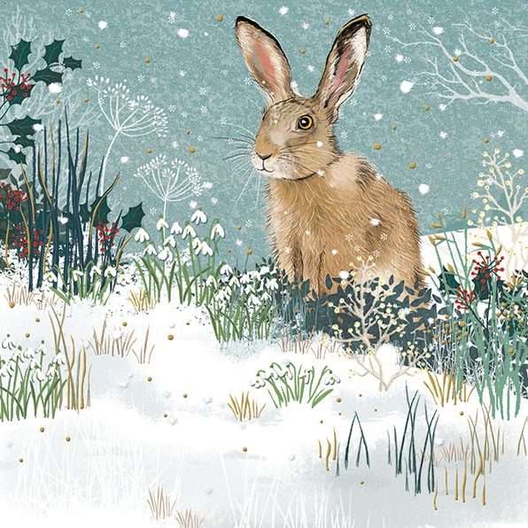 Brown hare in a snowy woodland.