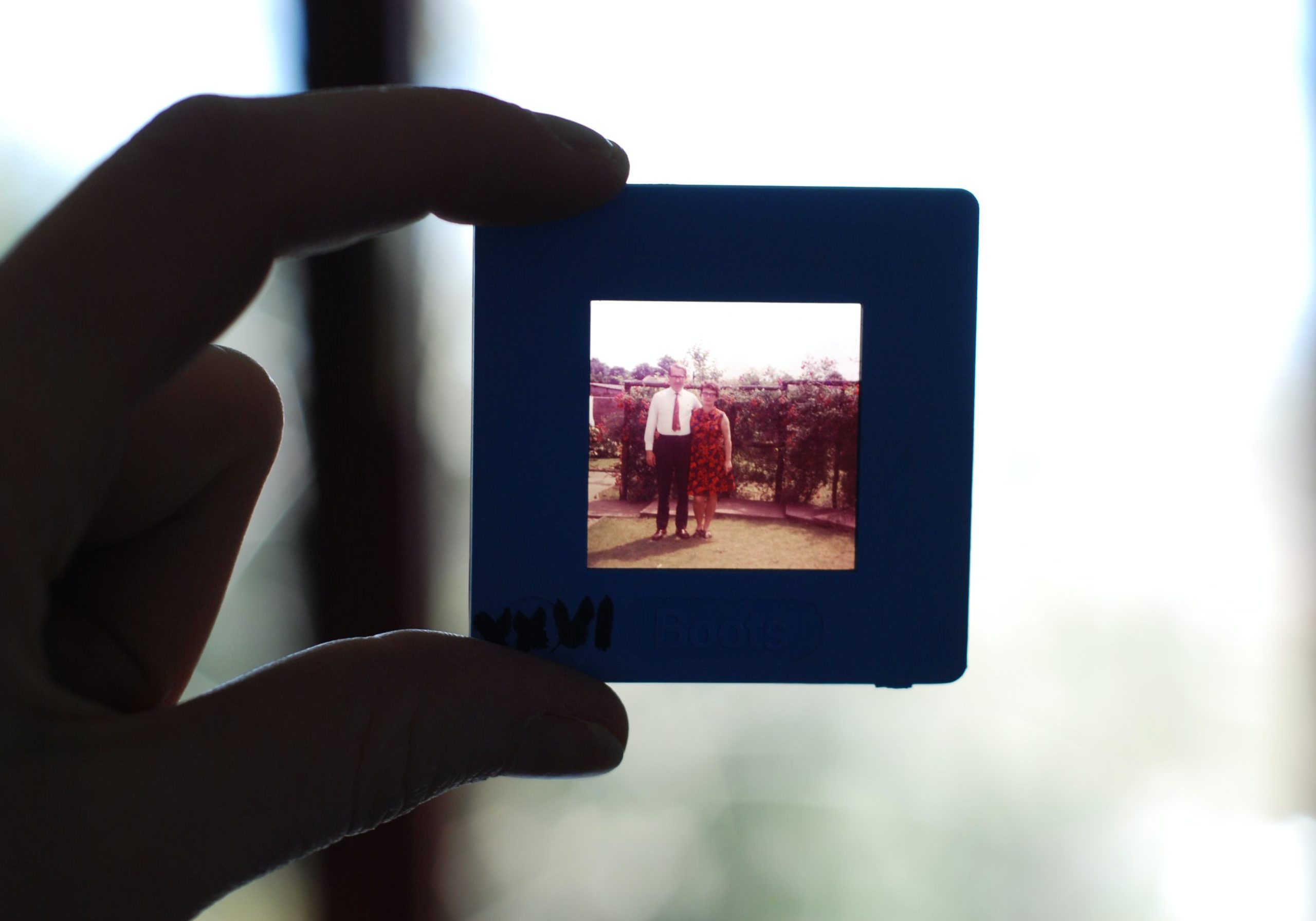 A Hand holding up a photo slide of a couple in bright clothers from the 1960s or 1970s